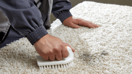Professional Rug Cleaning Stonehaven